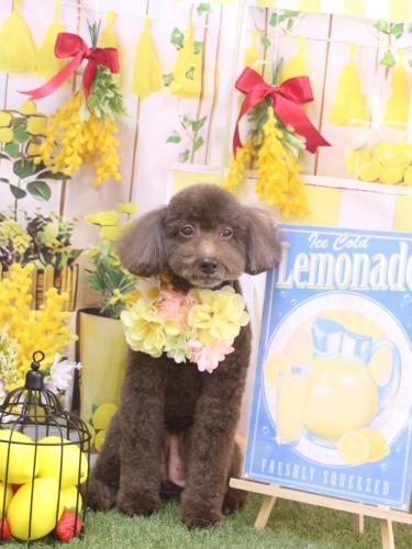 20240414杏ちゃん